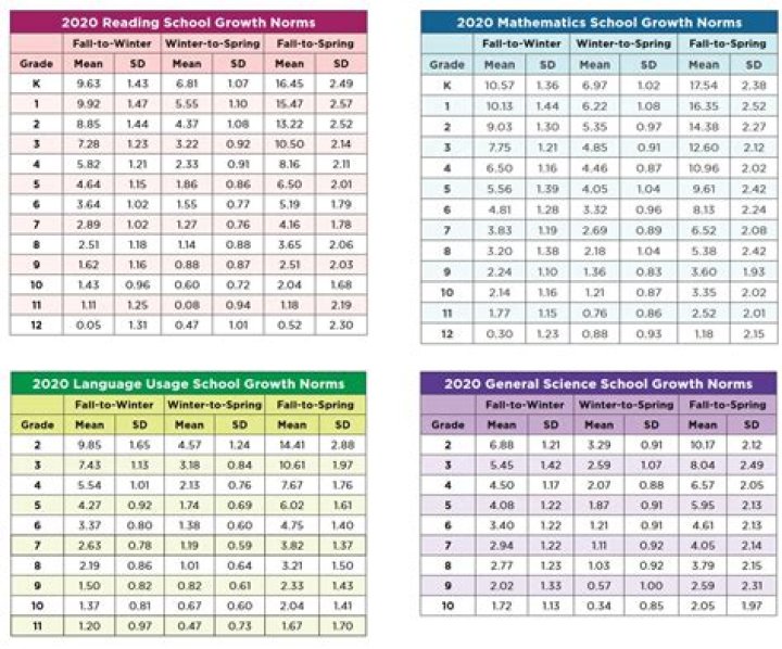 Understanding Straight Norms: A Comprehensive Guide