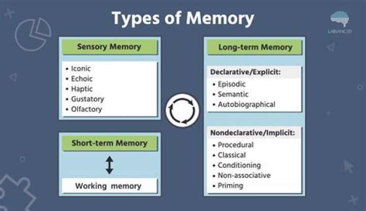 Understanding the different types of memory
