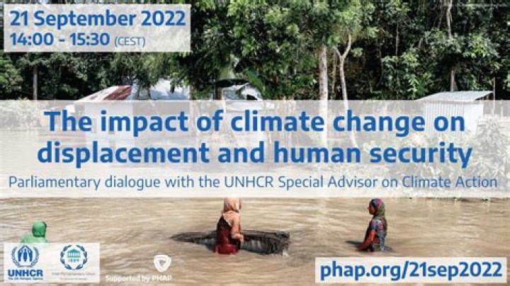 Understanding The Impact Of The 