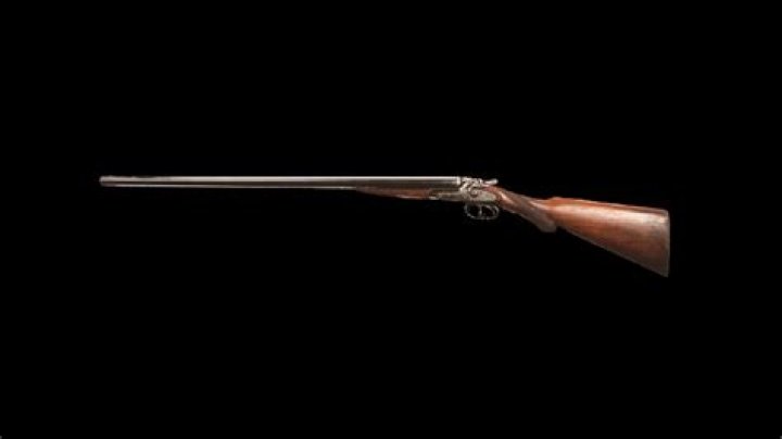 Underused Akimbo shotgun loadout is 