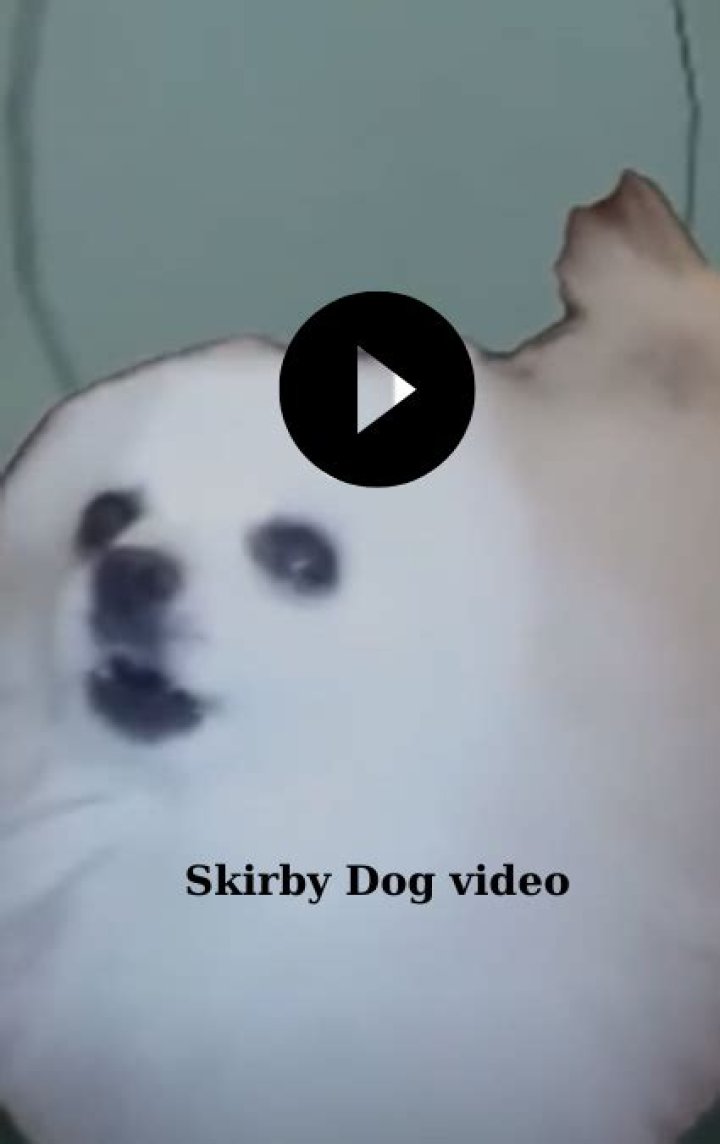 Unleashing The Joy: The Skirby Dog Video Phenomenon