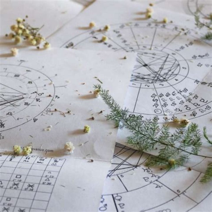 Unlocking The Cosmic Secrets: A Deep Dive Into Vedic Astrology