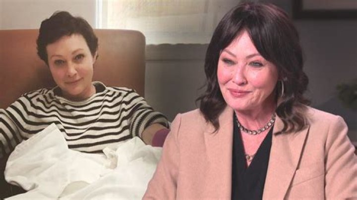 Unraveling The Journey: Shannen Doherty's Decision On Parenthood