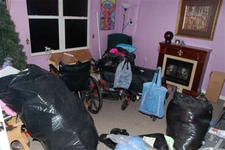 Unraveling The Mystery: Gypsy Rose Crime Pics