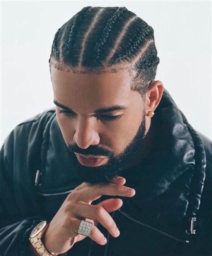 Unraveling The Style: The Drake Braided Phenomenon