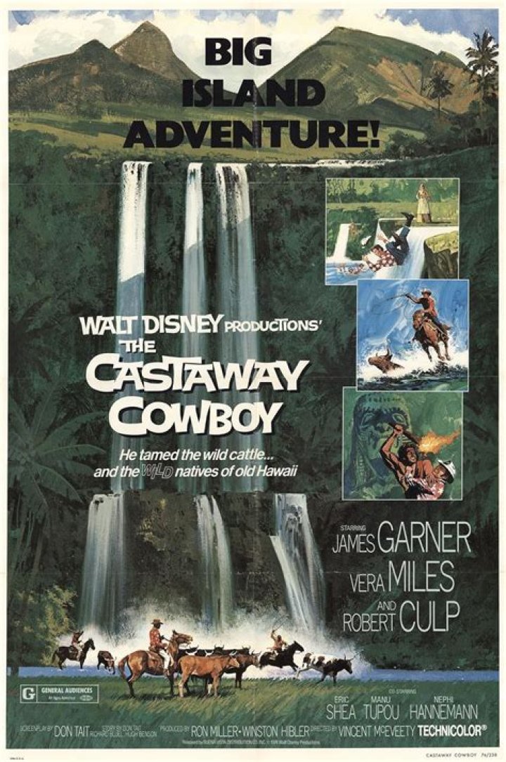 Unveiling The Castaway Cowboy: Resilience, Adventure, And Timeless Insights