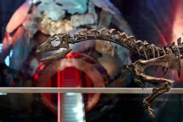 Unveiling The Enigma: Discoveries From Gene Simmons' First Wife