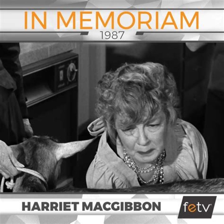 Unveiling The Life And Legacy Of Harriet E. MacGibbon