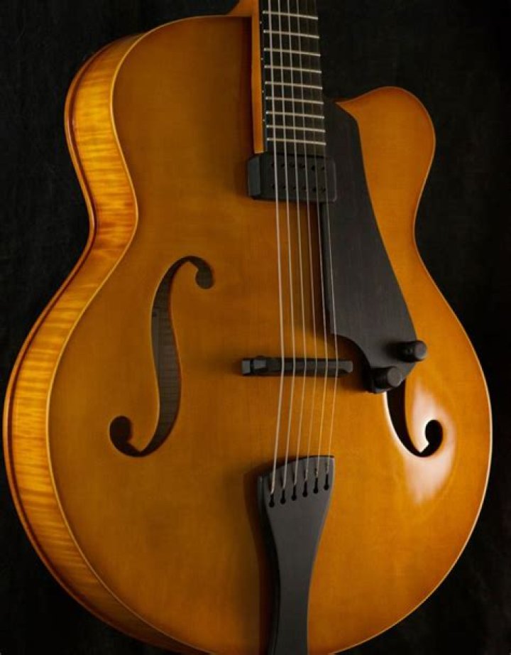 Unveiling The Musical Journey Of Dana Guitar Bierman