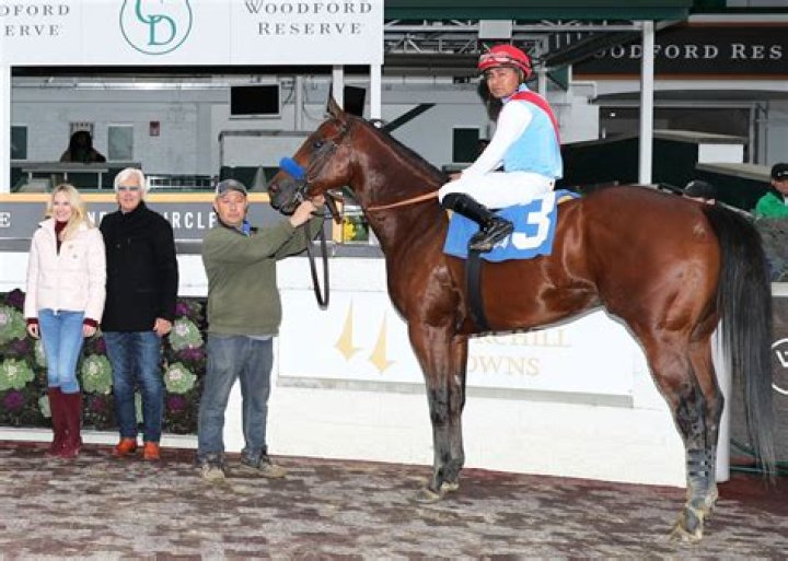 Unveiling The Secrets: Jill Baffert's Impact On Horse Racing