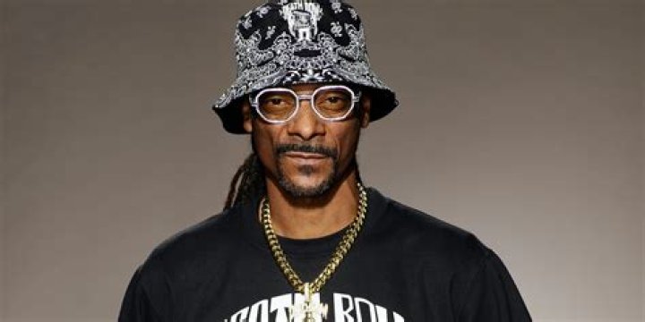 Unveiling The Truth: Snoop Dog's Criminal Record
