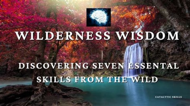 Unveiling The Wilderness Wisdom Of Susan Aikens