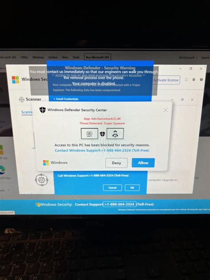 utorrentz2.in login safely, analysis & comments
