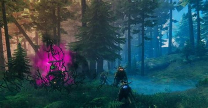 Valheim Ancient Seeds: How to Get Them & What They Do