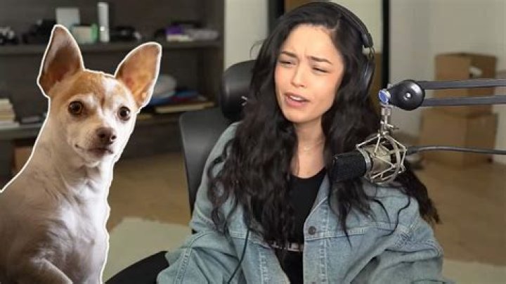 Valkyrae has unexpected response to fans comparing her to a Chihuahua