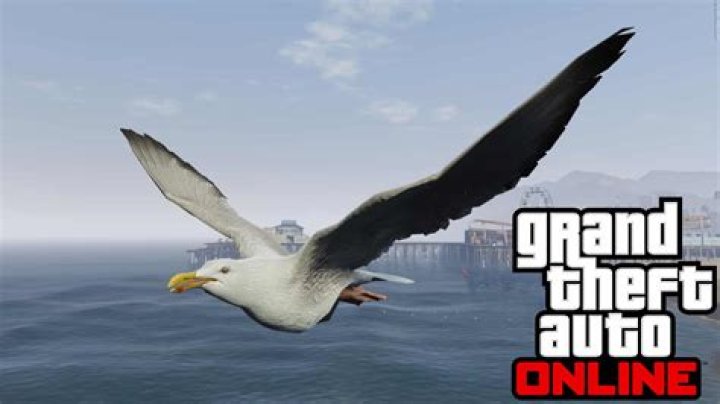 Viral GTA Online TikTok shows how to turn birds into bomb carriers