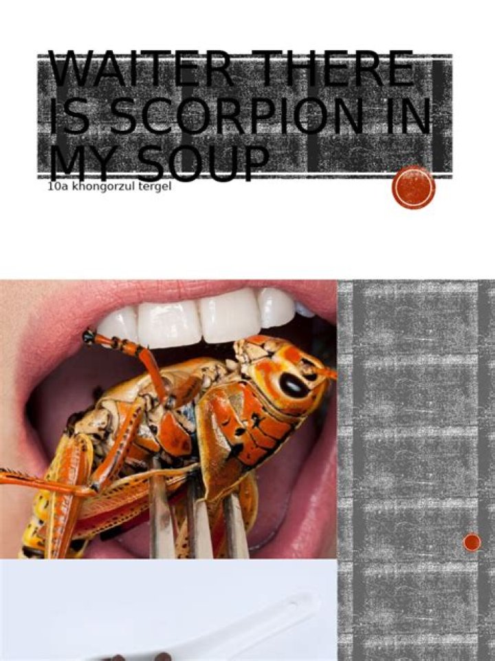 Waiter, there's a scorpion in my soup
