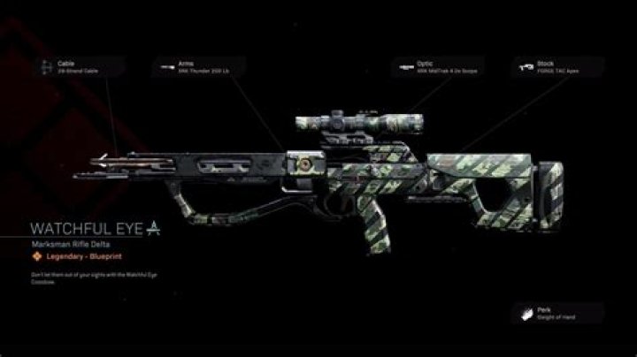 Watchful Eye Warzone Blueprint: How to Get