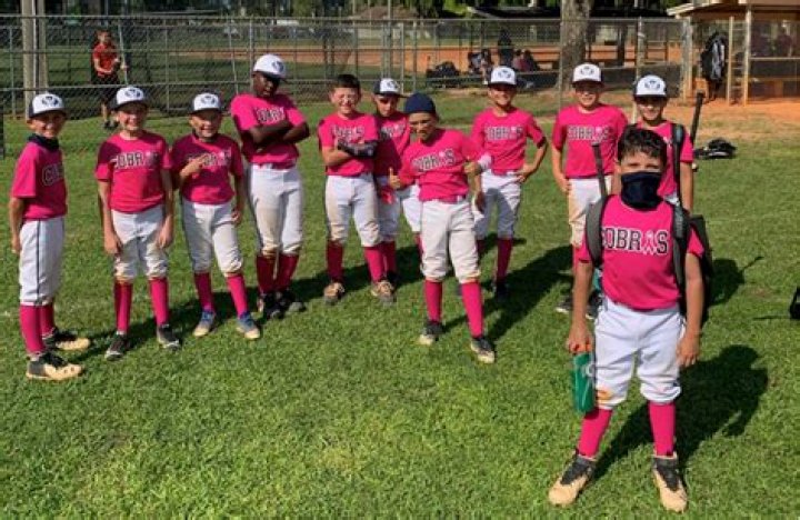 	WEST PINES COBRAS TAKE TRAVEL LEAGUE TITLE	