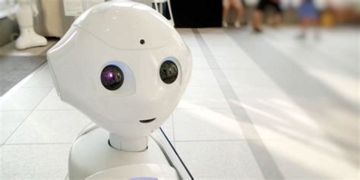 What Are Bad Bot Attacks?