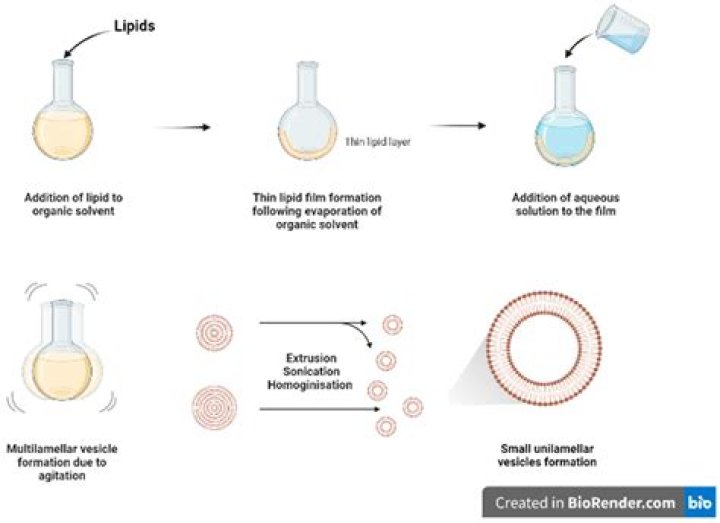 What Is MMS Viral? Understanding The Phenomenon And Its Implications