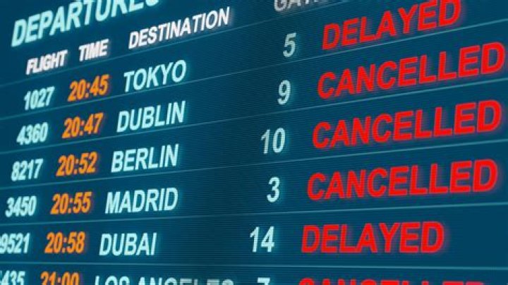 	What to do if your Spirit Airlines flight has been canceled	