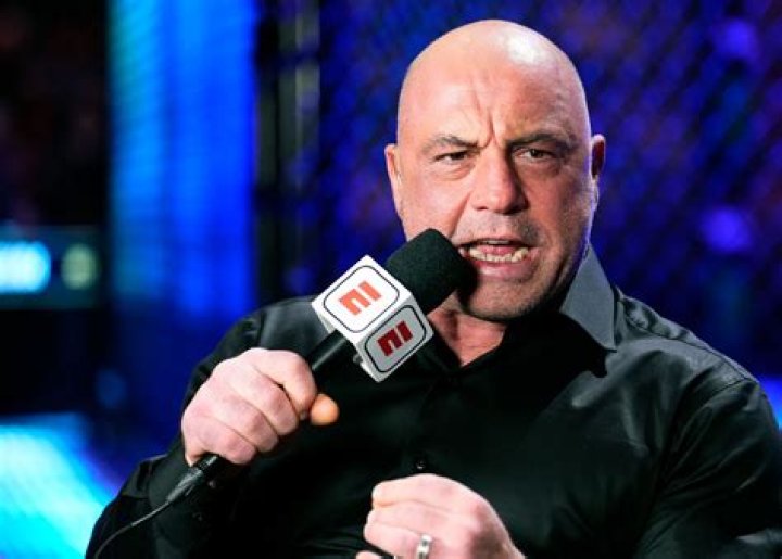 Where Did Joe Rogan Start His Career?