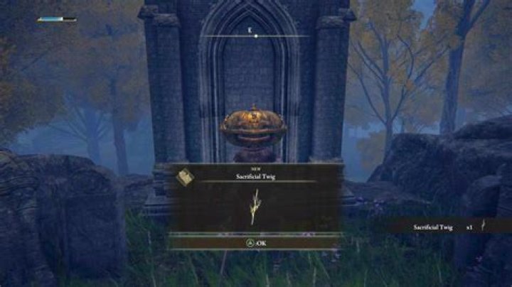 Where to Find Sacrificial Twigs in Elden Ring