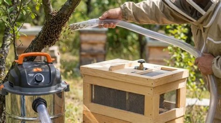 	Who’s responsible for bee removal?	
