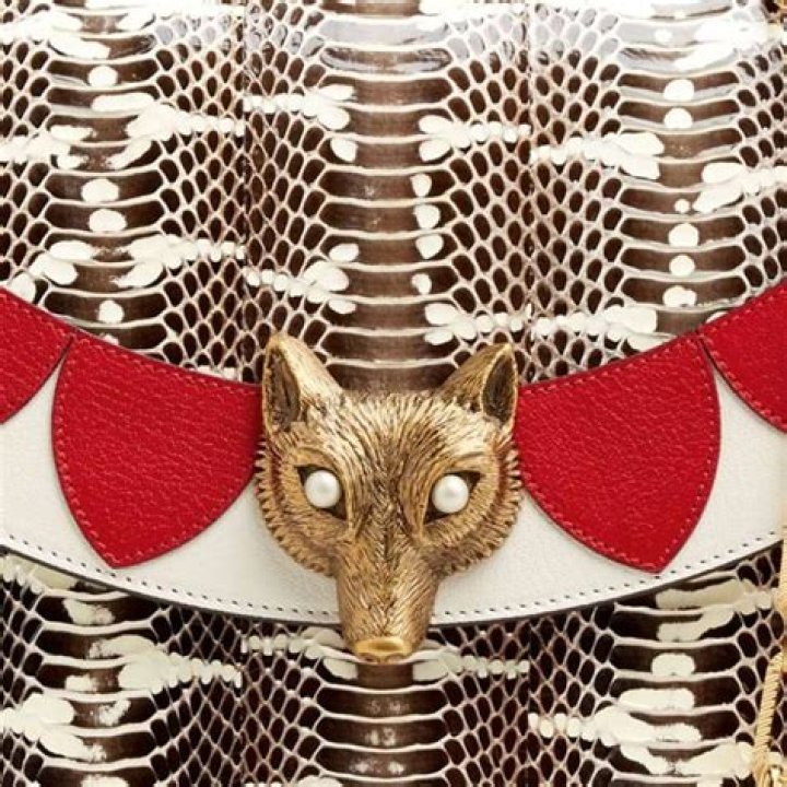 Why Gucci is growing its own pythons