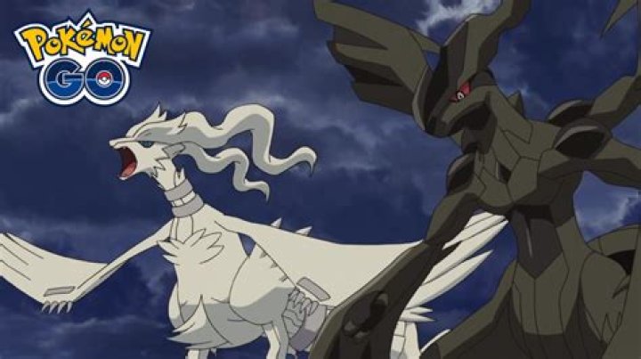 Why you should stock up on Reshiram and Zekrom in Pokemon Go