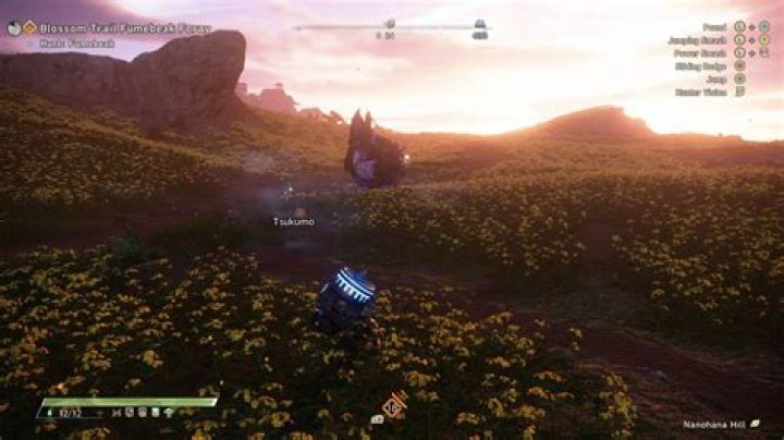 Wild Hearts review: Monster Hunter meets Death Stranding in a great RPG