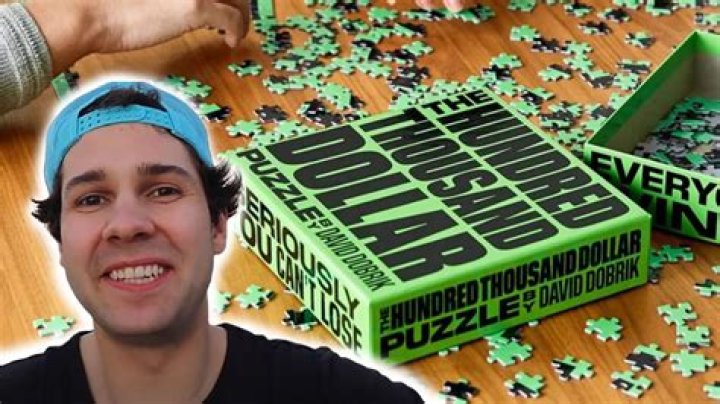 Winner of David Dobrik's $100,000 puzzle challenge revealed