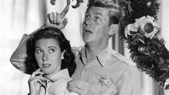 Women in The Box: Ellie Walker, The Andy Griffith Show