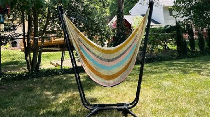 Yellow Leaf Hammock Net Worth 2024