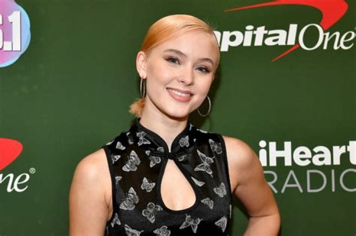 Zara Larsson Vermögen