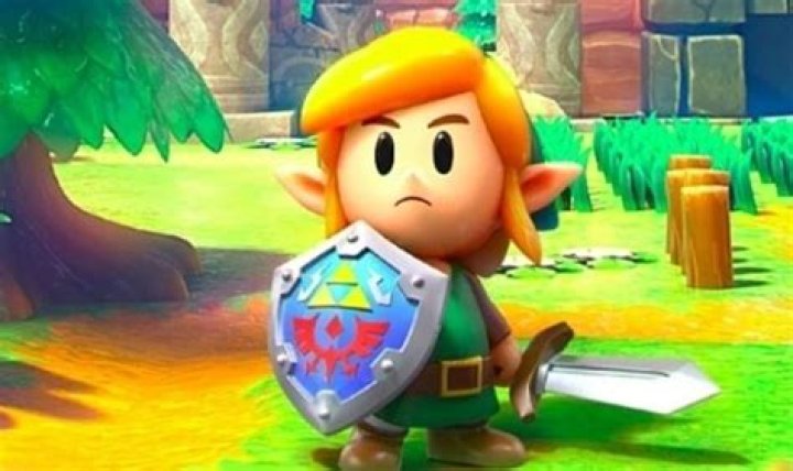 Zelda Link’s Awakening: How to Wake the Walrus Up