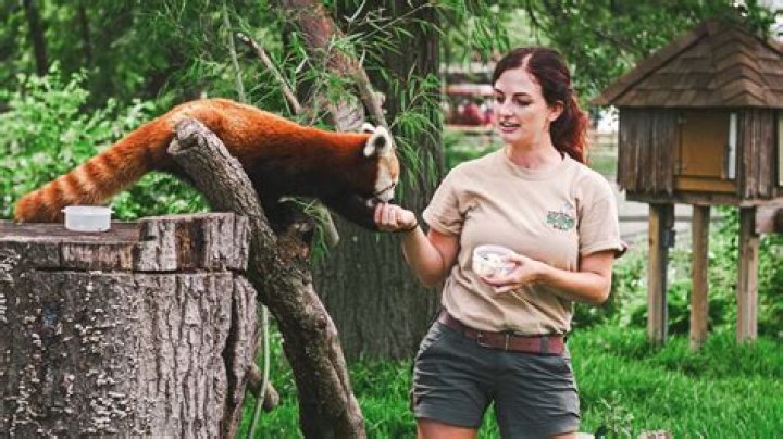 	ZOO KEEPER CONFIDENTIAL	